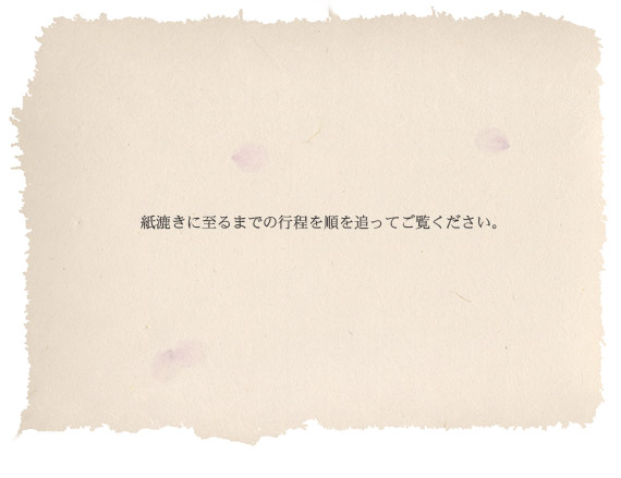 紙漉きに至るまでの行程を順を追ってご覧ください。